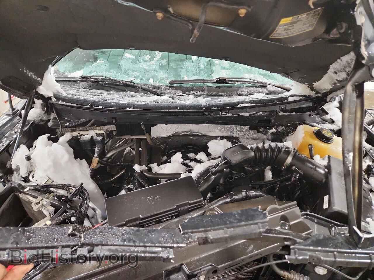 2014 FORD F150 - VIN: 1FTFX1EF7EFA92754 - Фото 11