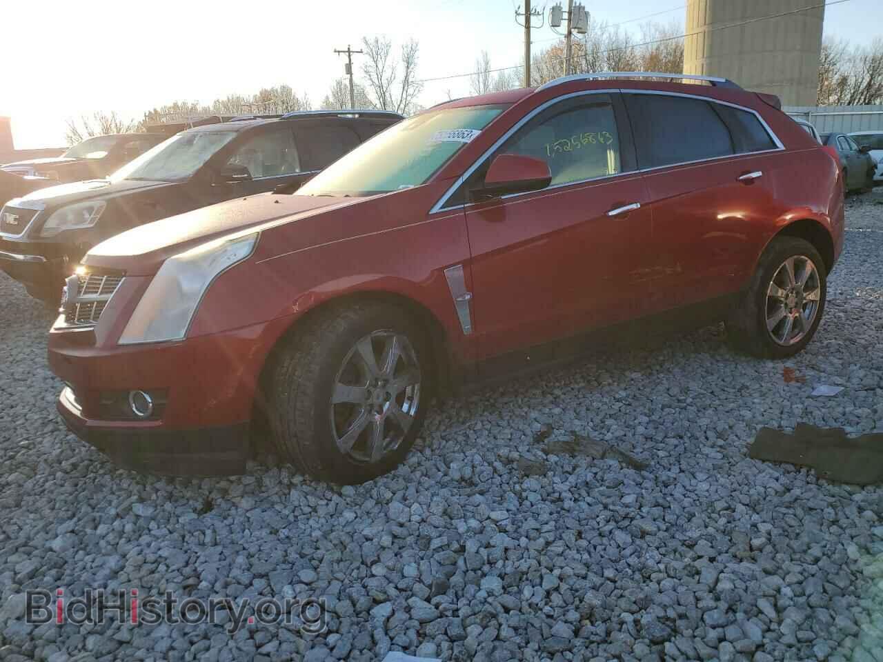 Photo 3GYFNEEY2AS511012 - CADILLAC SRX 2010