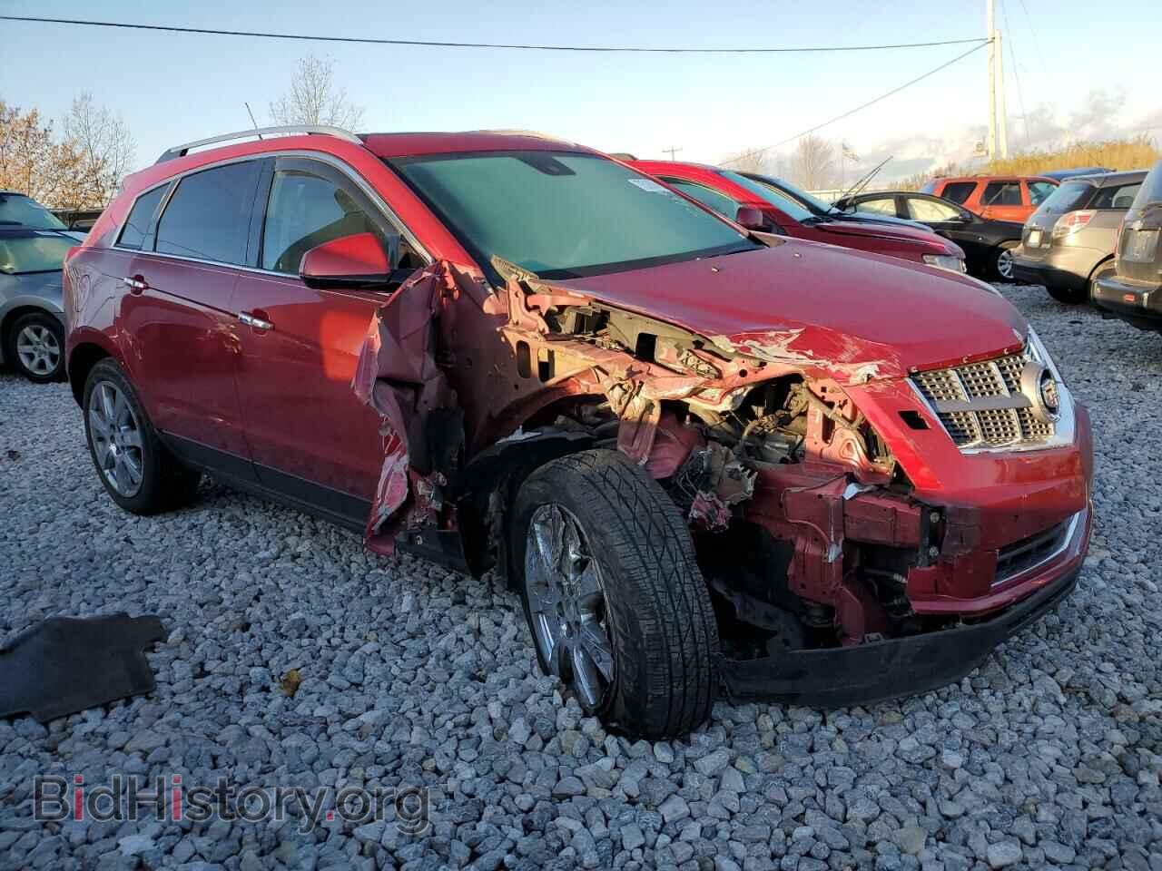2010 CADILLAC SRX - VIN: 3GYFNEEY2AS511012 - Фото 4
