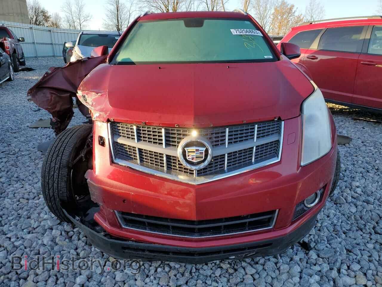 2010 CADILLAC SRX - VIN: 3GYFNEEY2AS511012 - Фото 5