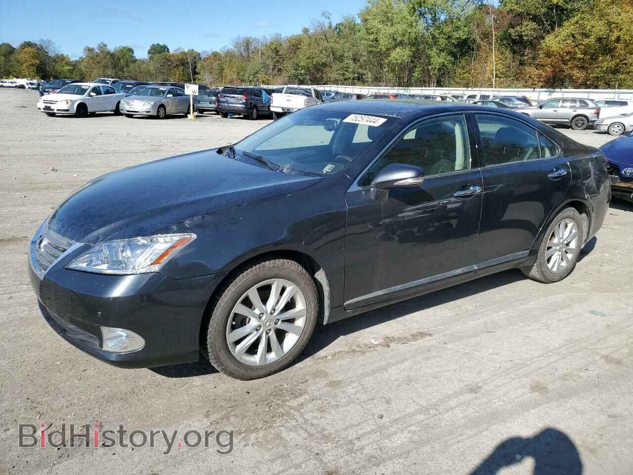 Фотография JTHBK1EG3A2390028 - LEXUS ES350 2010