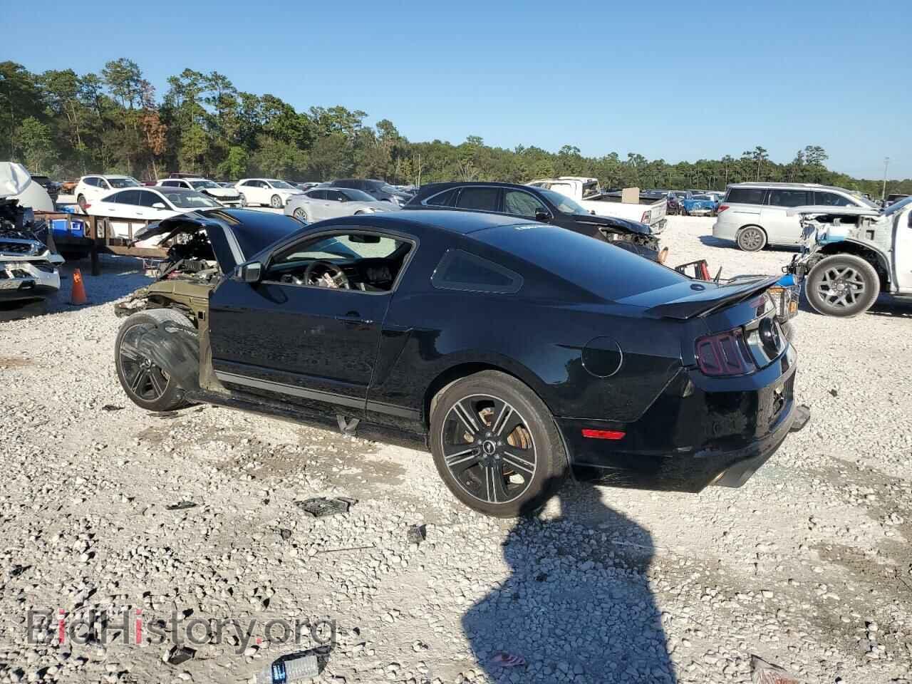 2013 FORD MUSTANG - VIN: 1ZVBP8CF0D5274971 - Фото 2