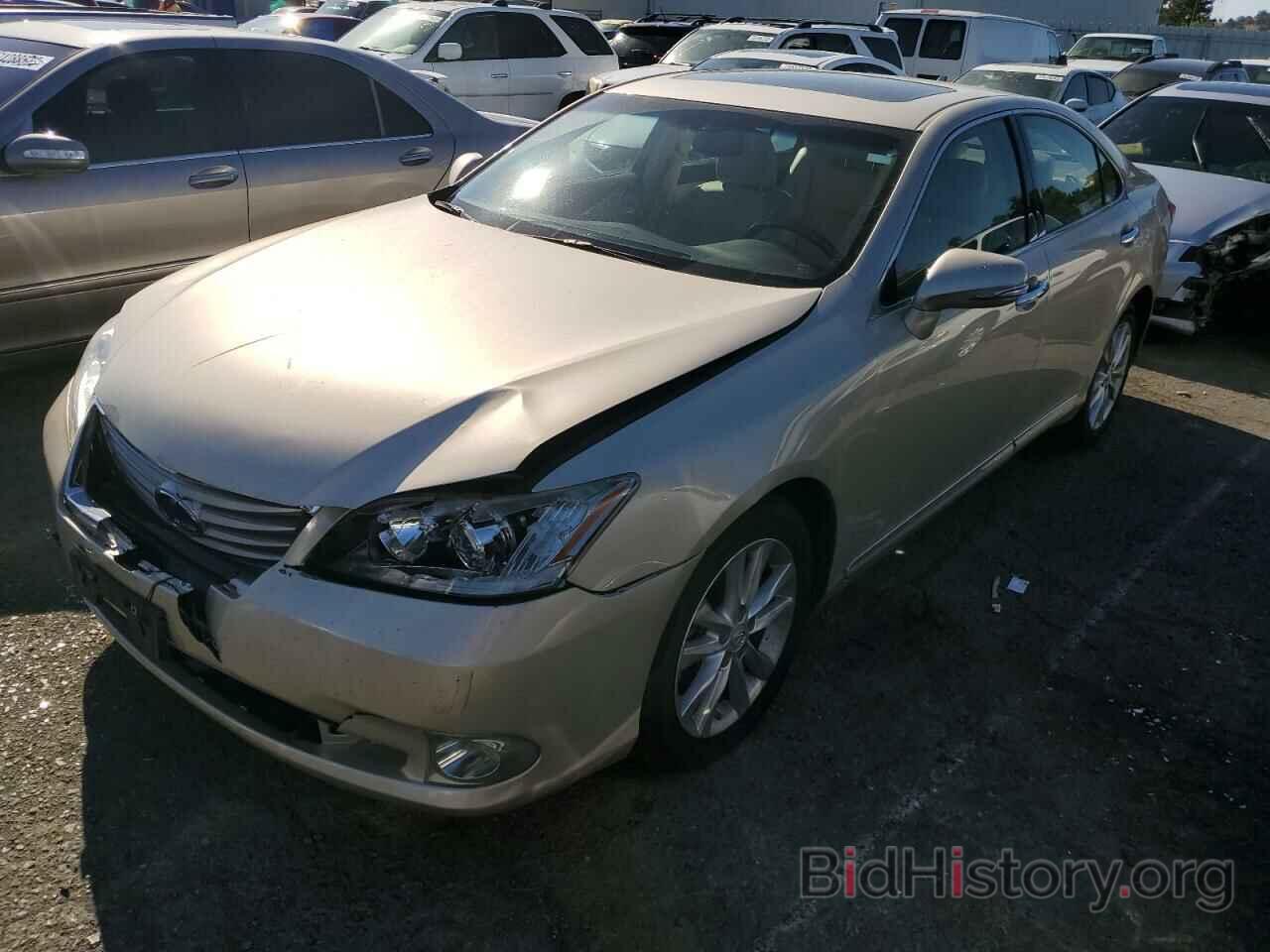 Фотография JTHBK1EG2A2381563 - LEXUS ES350 2010