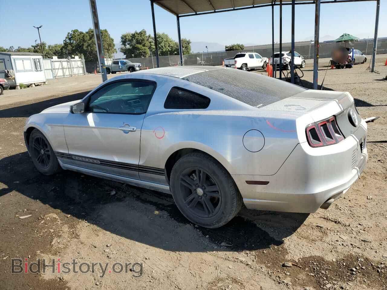 2014 FORD ALL Models - VIN: 1ZVBP8AM0E5245375 - Фото 2