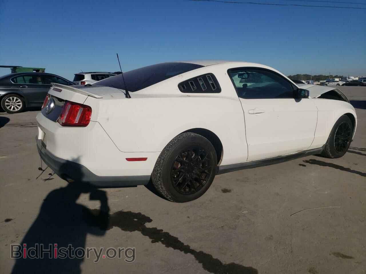 2010 FORD ALL Models - VIN: 1ZVBP8AN7A5108291 - Фото 3