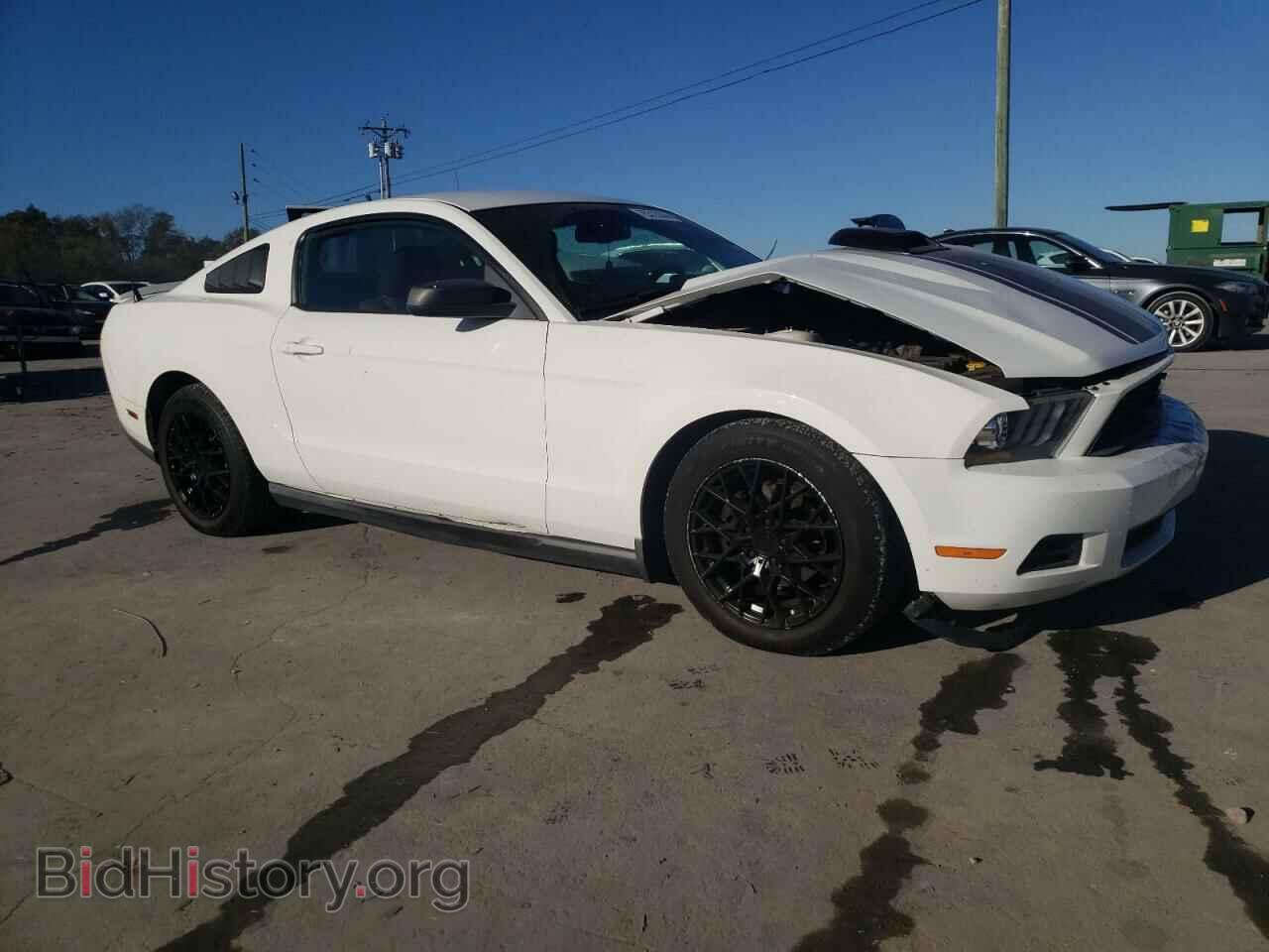 2010 FORD ALL Models - VIN: 1ZVBP8AN7A5108291 - Фото 4