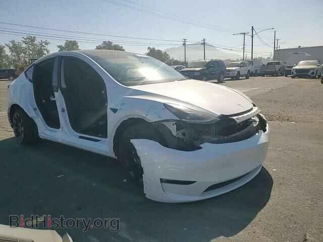 2024 TESLA MODEL Y - VIN: 7SAYGDEE2RF067145 - Photo 10