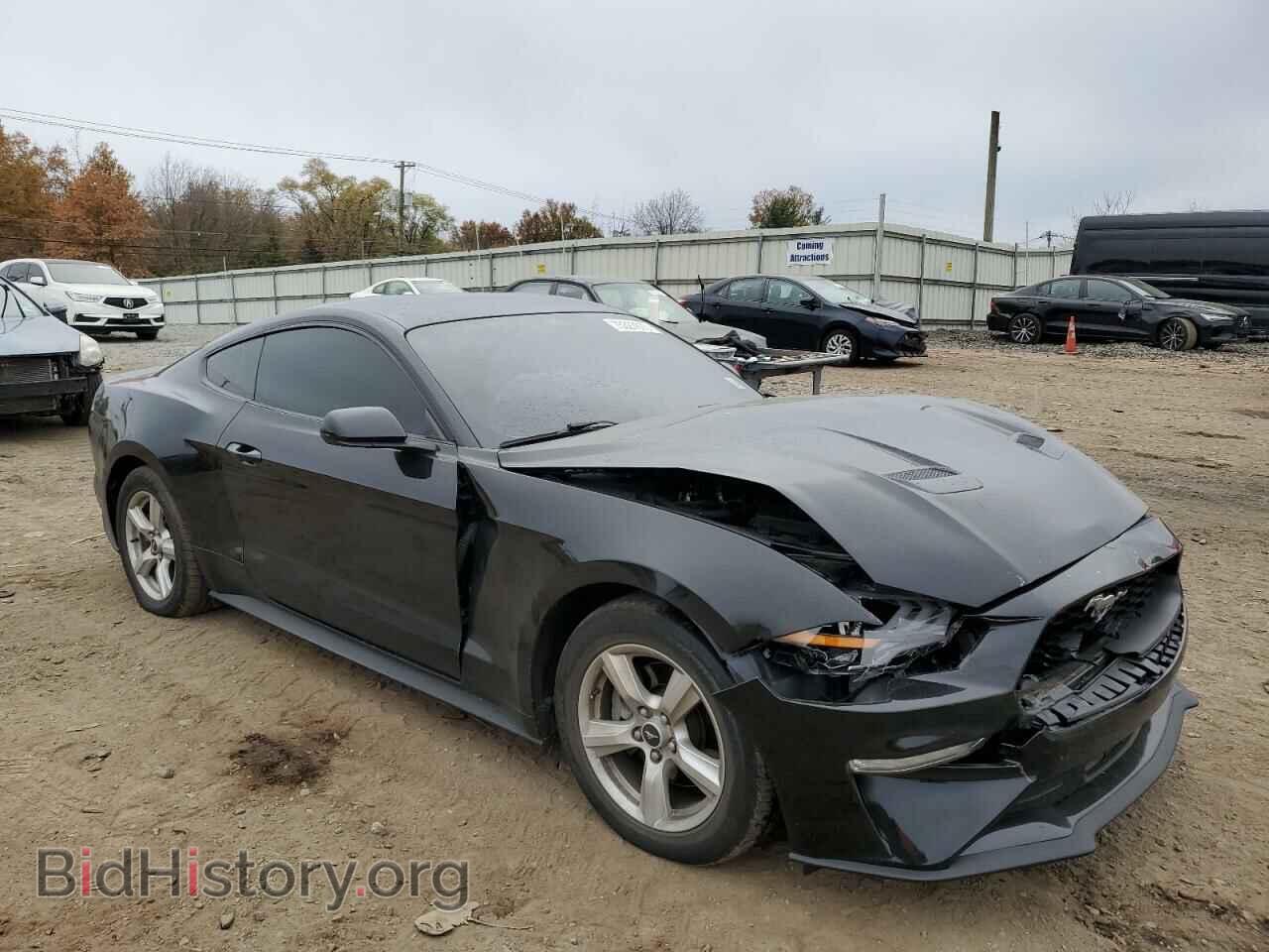 2019 FORD ALL Models - VIN: 1FA6P8TH1K5141208 - Фото 4