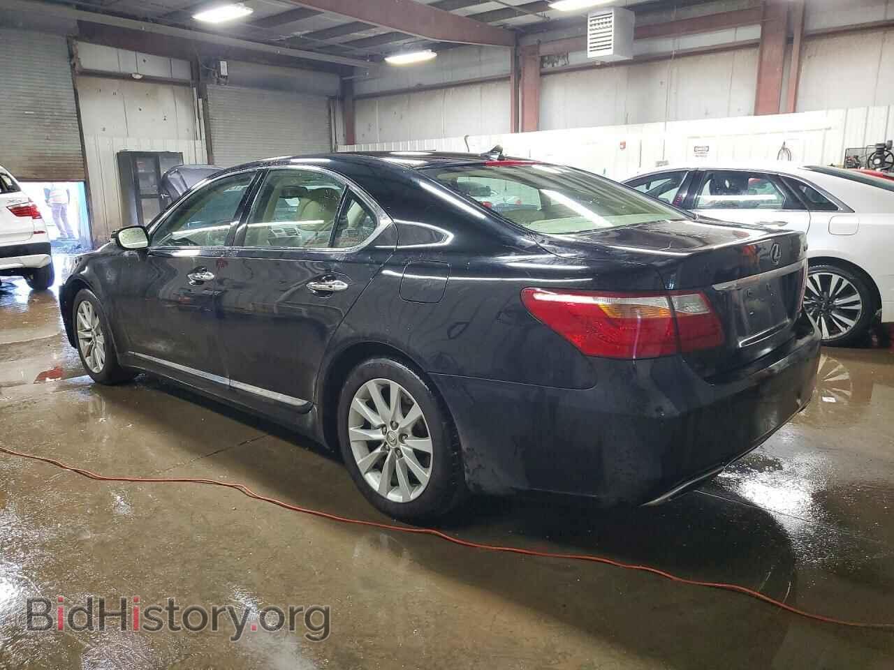 2011 LEXUS LS460 - VIN: JTHCL5EF3B5011027 - Фото 2