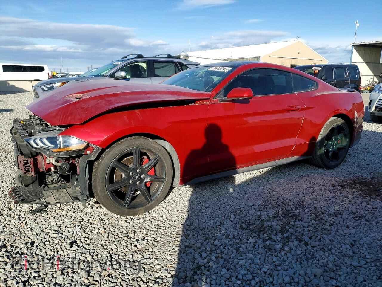 Photo 1FA6P8TH7L5162050 - FORD ALL Models 2020