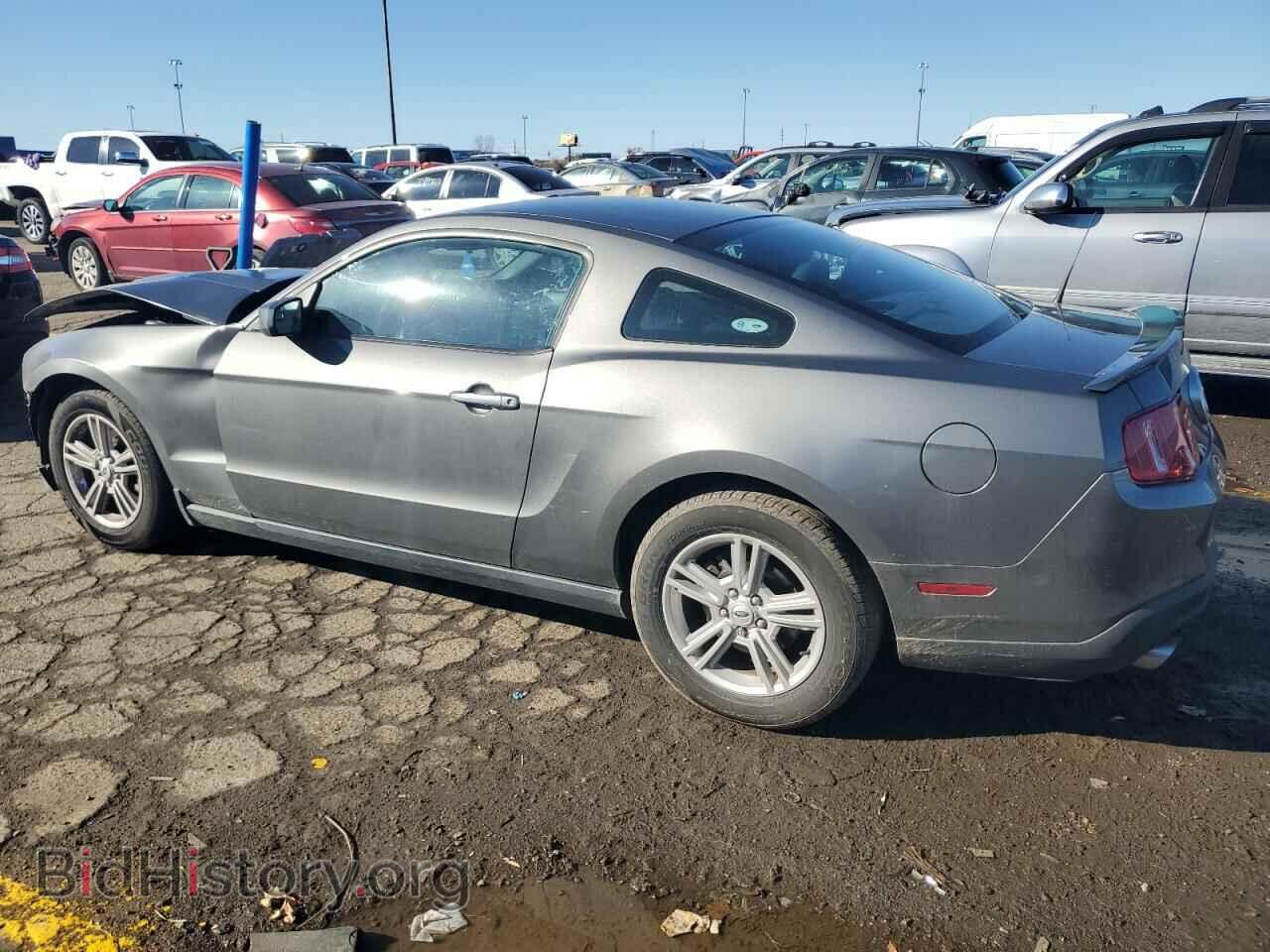 2011 FORD ALL Models - VIN: 1ZVBP8AM8B5105828 - Фото 2