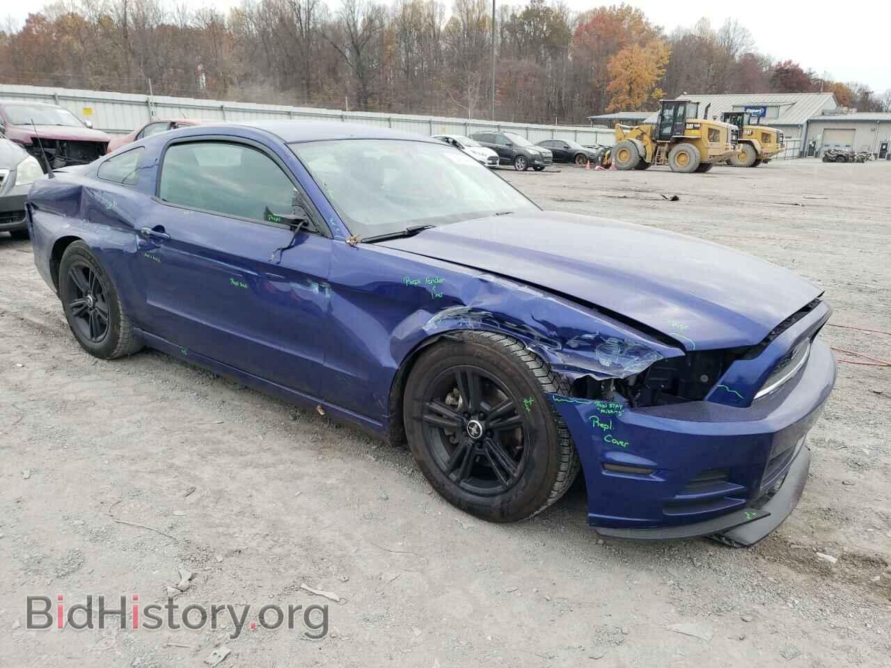 2013 FORD ALL Models - VIN: 1ZVBP8AM1D5219446 - Фото 4