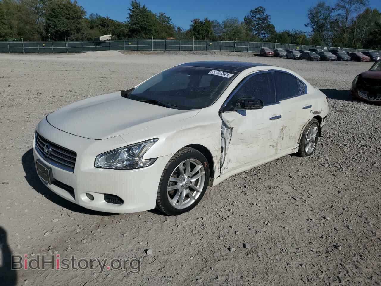 Photo 1N4AA5AP1BC858370 - NISSAN MAXIMA 2011