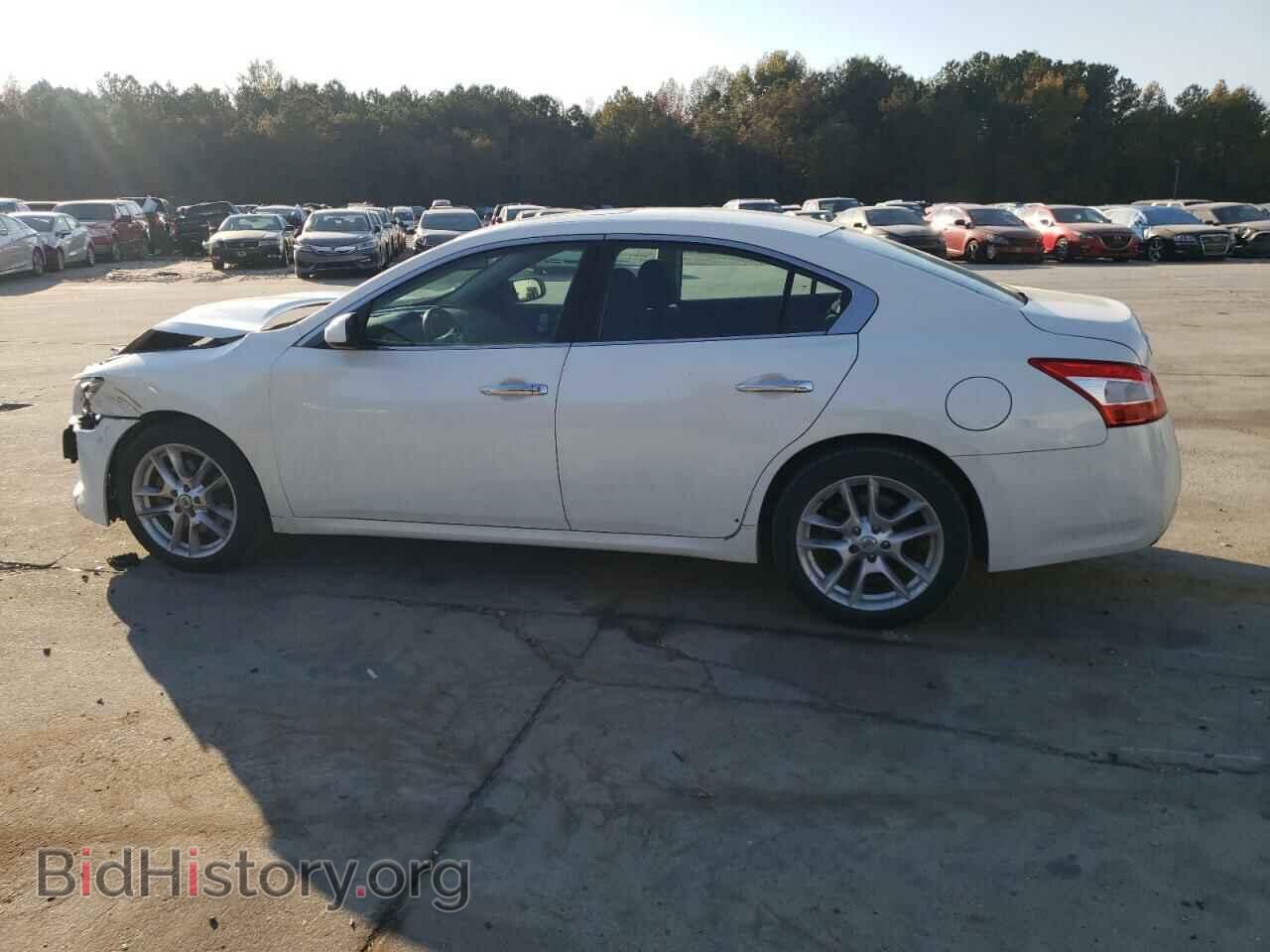 2010 NISSAN MAXIMA - VIN: 1N4AA5AP0AC838884 - Фото 2