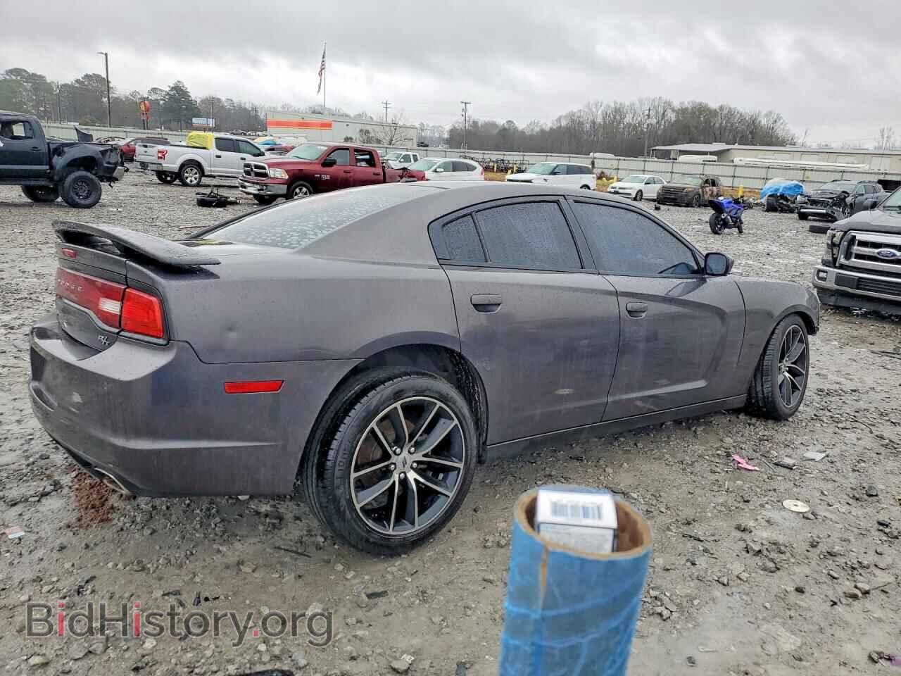 2013 DODGE CHARGER - VIN: 2C3CDXCT1DH669710 - Фото 3