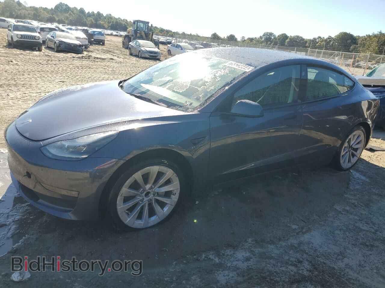 Photo 5YJ3E1EA2PF446717 - TESLA MODEL 3 2023