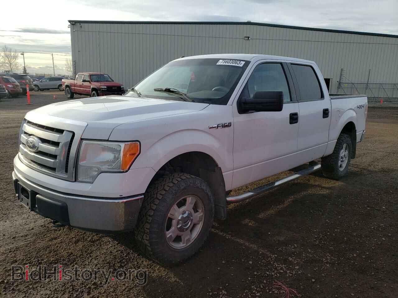 Фотография 1FTFW1EF3BFB49188 - FORD F-150 2011
