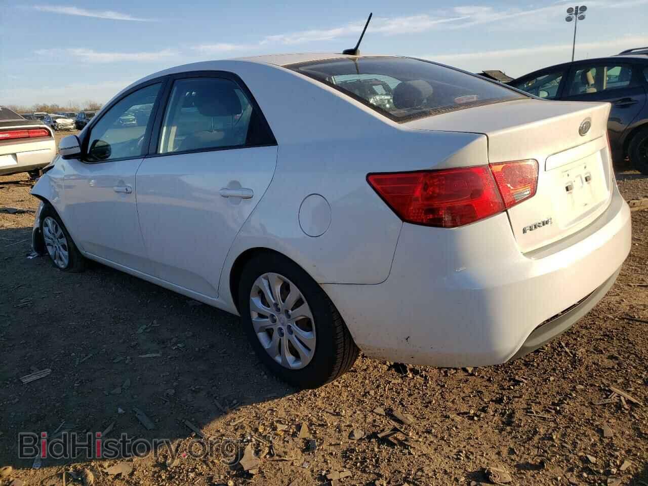 2013 KIA FORTE - VIN: KNAFU4A2XD5736357 - Фото 2