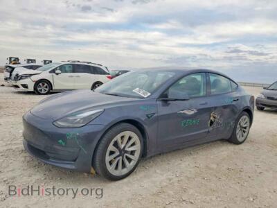 2023 Tesla MODEL 3, серый — VIN 5YJ3E1EA7PF659243, Copart