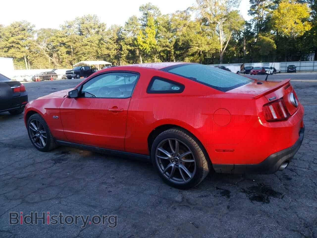 2011 FORD MUSTANG - VIN: 1ZVBP8CF4B5123659 - Фото 2