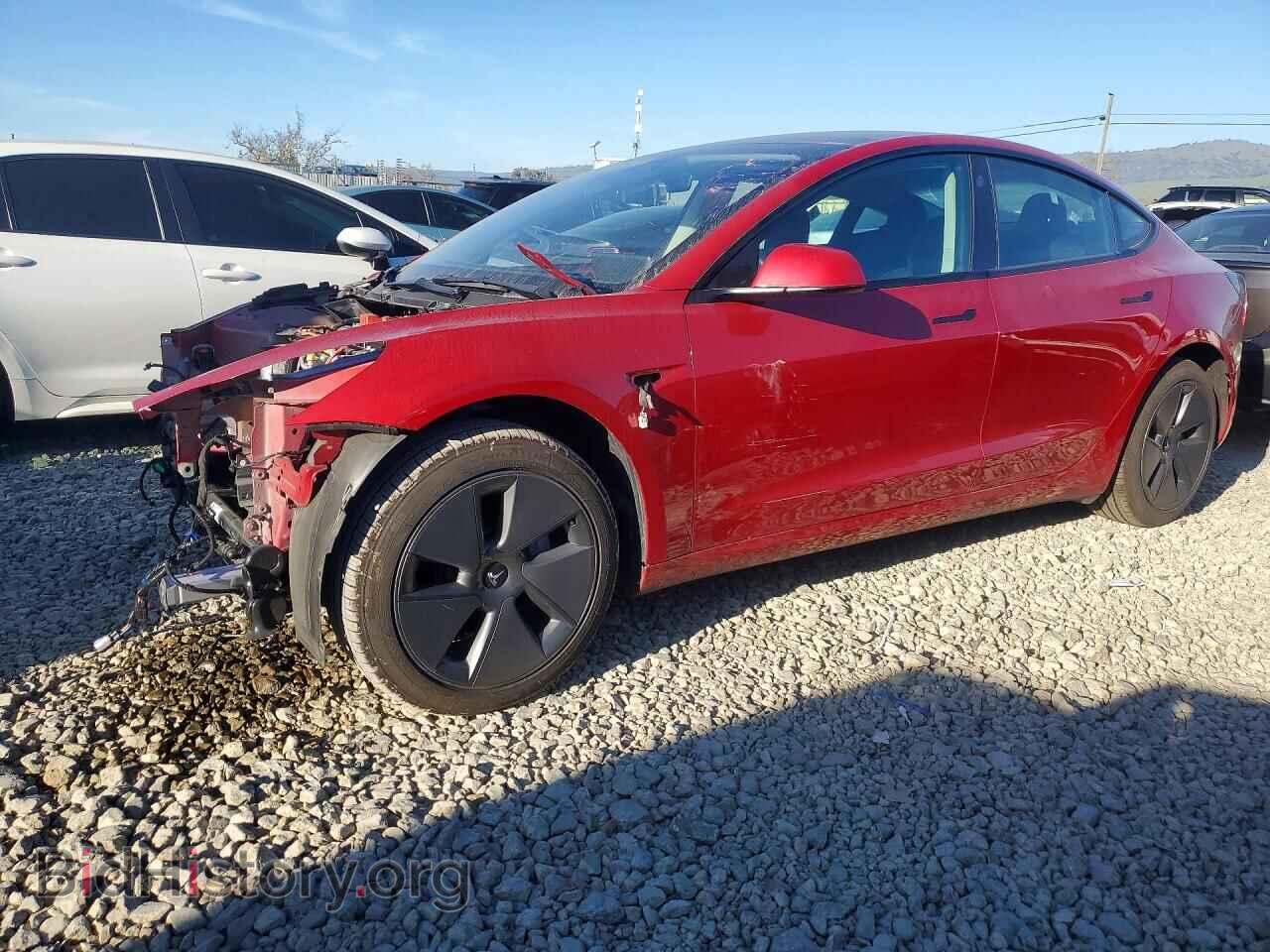 Photo 5YJ3E1EB9MF087774 - TESLA MODEL 3 2021