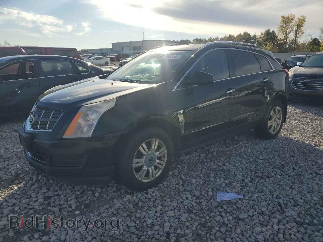 Фотография 3GYFNDE32CS562009 - CADILLAC SRX 2012