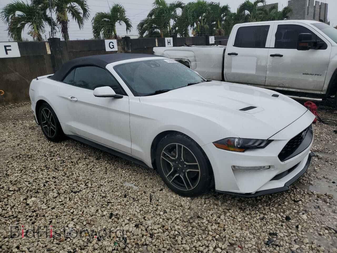 2021 FORD ALL Models - VIN: 1FATP8UH1M5108195 - Photo 4