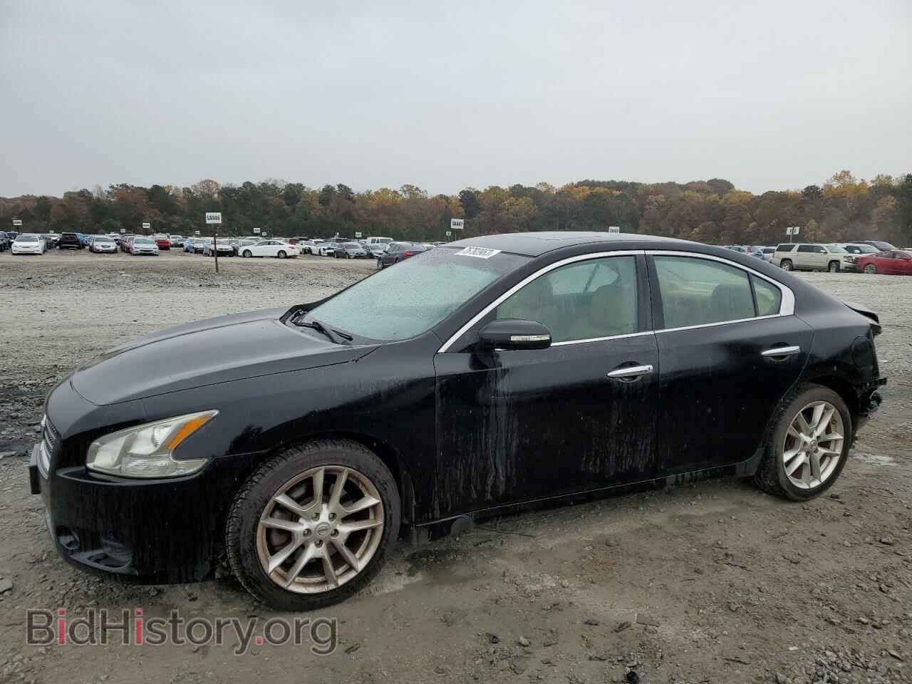 Фотография 1N4AA5AP3BC845233 - NISSAN MAXIMA 2011
