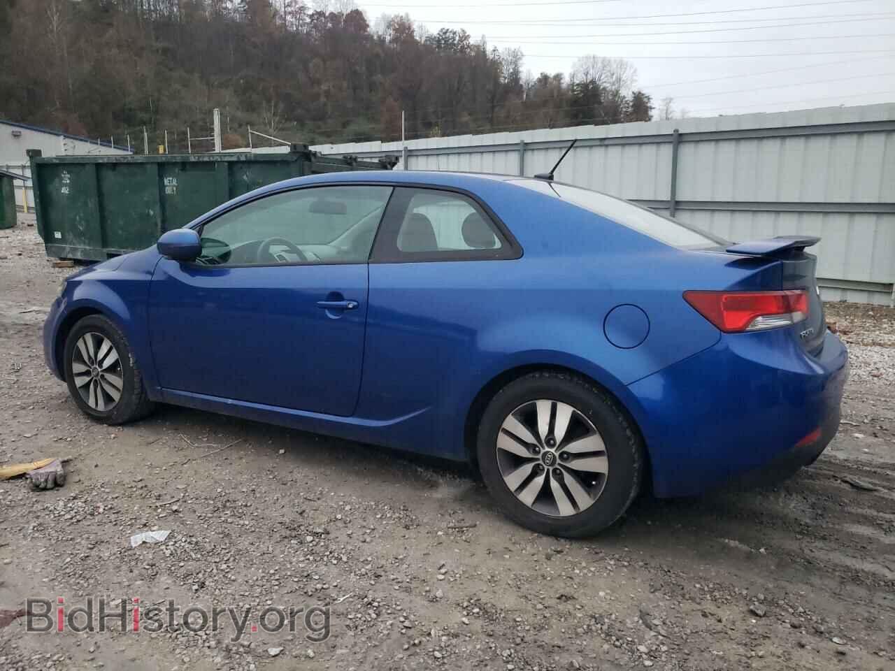 2013 KIA FORTE - VIN: KNAFU6A21D5694950 - Фото 2