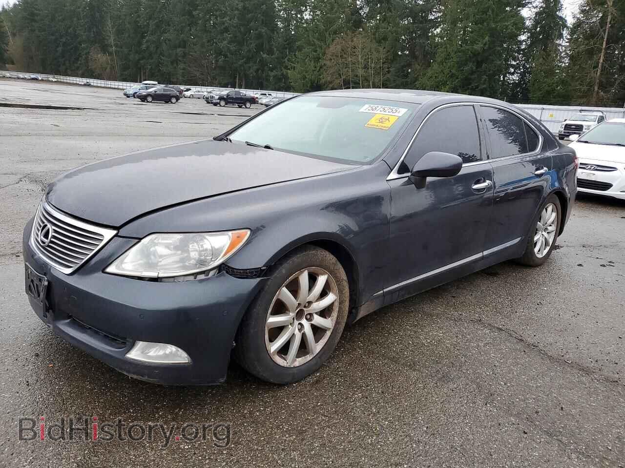 Фотография JTHBL46F575042453 - LEXUS LS460 2007