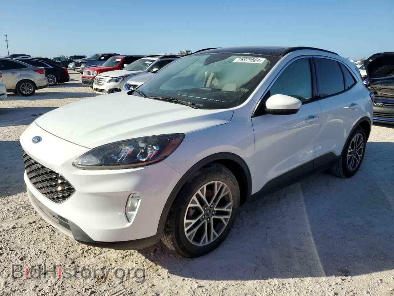 Photo 1FMCU0H66LUA35564 - FORD ESCAPE 2020