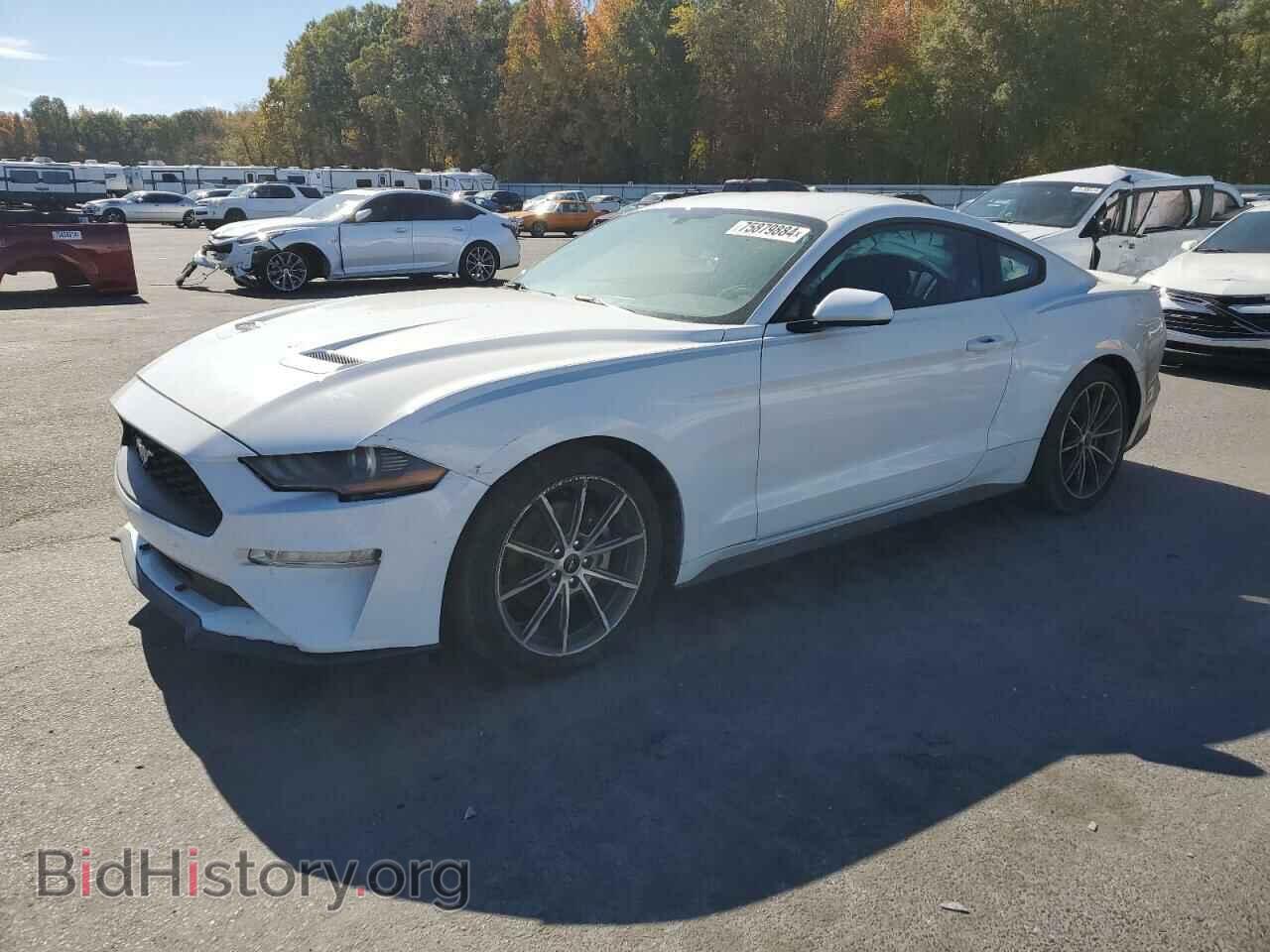 Фотография 1FA6P8TH0K5116882 - FORD ALL Models 2019