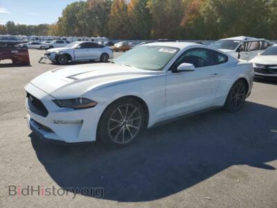 2019 Ford ALL MODELS, white — VIN 1FA6P8TH0K5116882, Copart