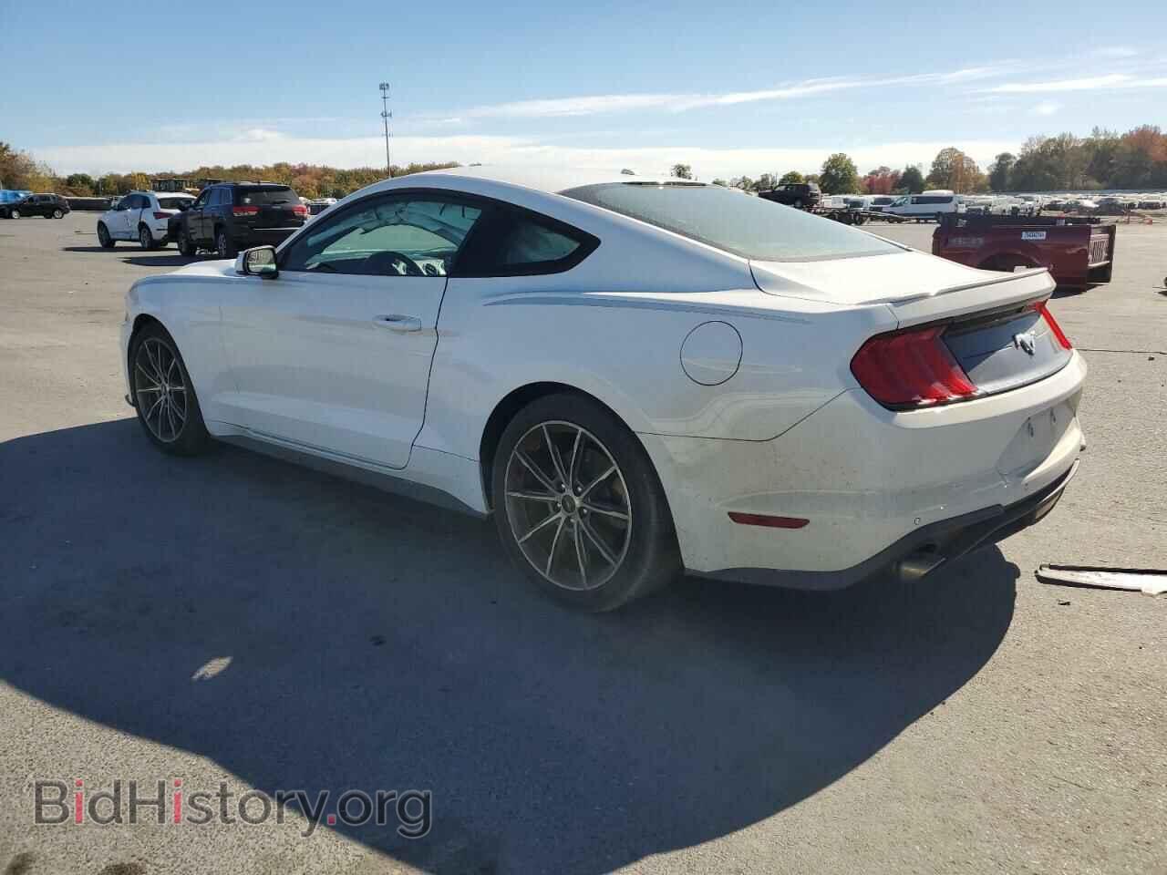 2019 FORD ALL Models - VIN: 1FA6P8TH0K5116882 - Фото 2