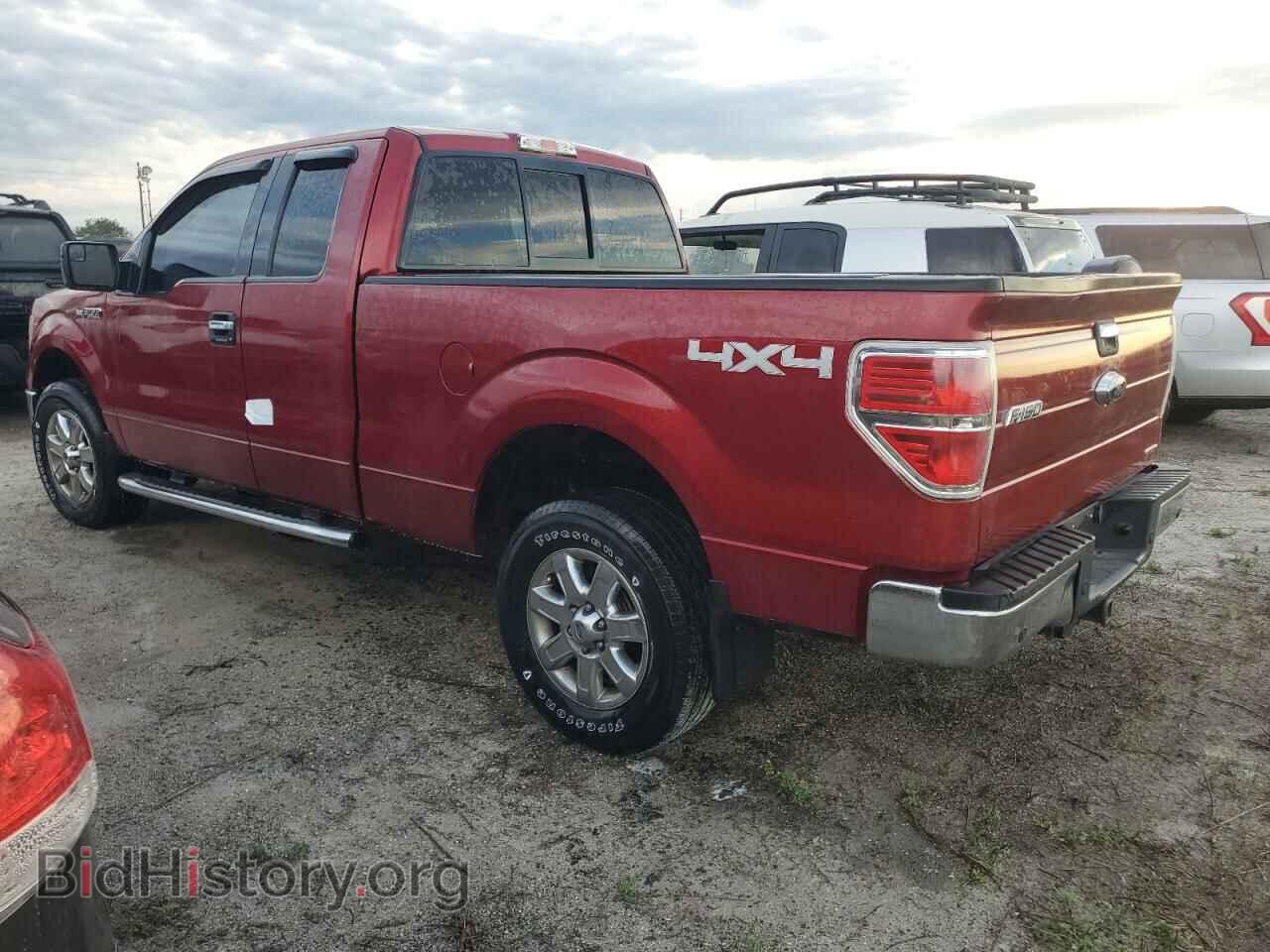 2013 FORD F-150 - VIN: 1FTFX1EF7DFB35567 - Фото 2