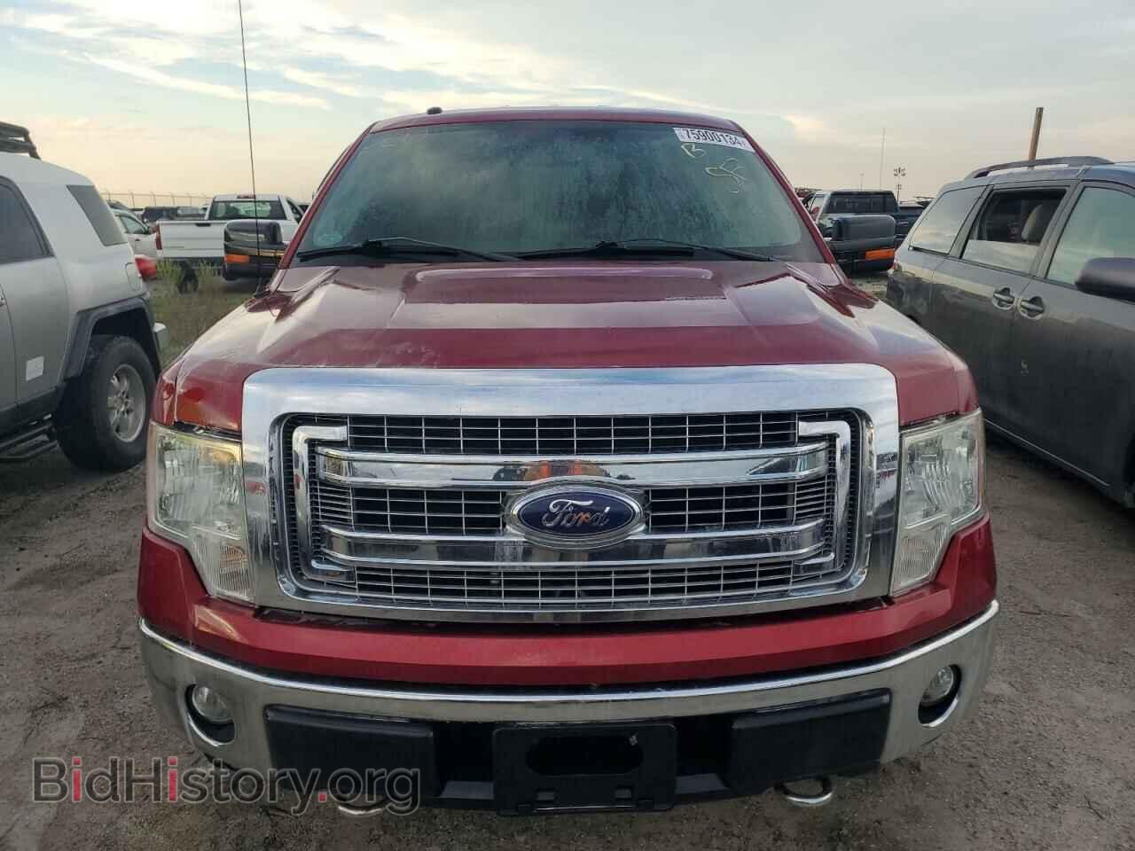 2013 FORD F-150 - VIN: 1FTFX1EF7DFB35567 - Фото 5