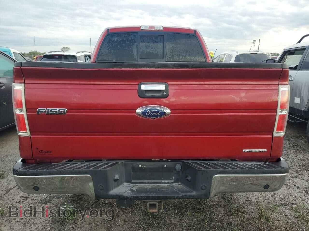 2013 FORD F-150 - VIN: 1FTFX1EF7DFB35567 - Фото 6