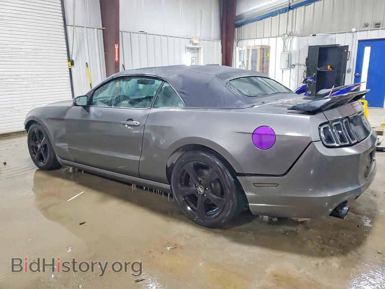 2013 FORD MUSTANG - VIN: 1ZVBP8EM3D5227395 - Фото 2