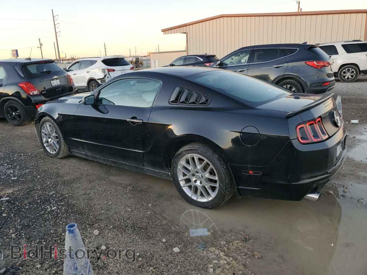 2013 FORD ALL Models - VIN: 1ZVBP8AM7D5264407 - Фото 2