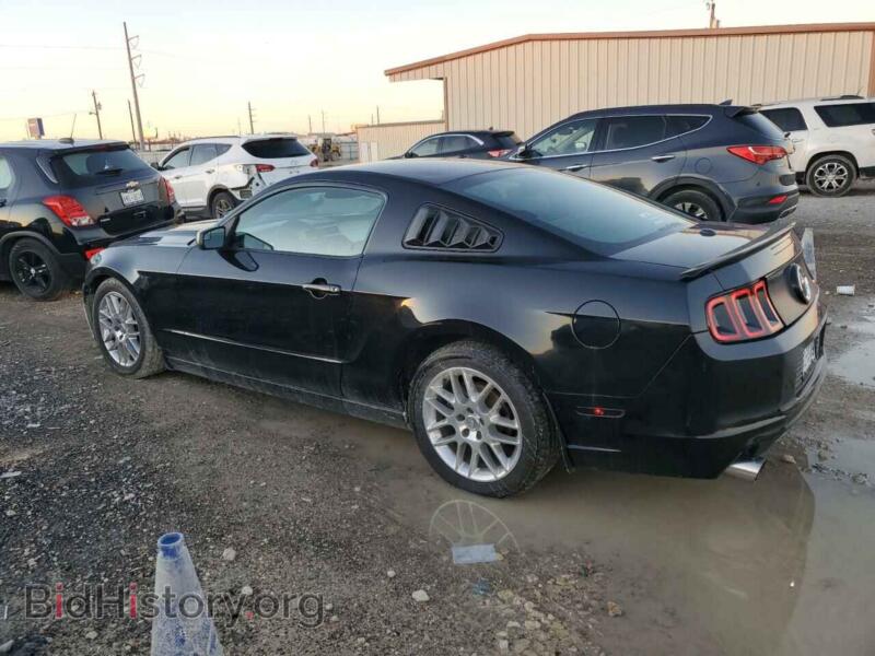 2013 Ford ALL MODELS (VIN 1ZVBP8AM7D5264407) — photo 2 of 12
