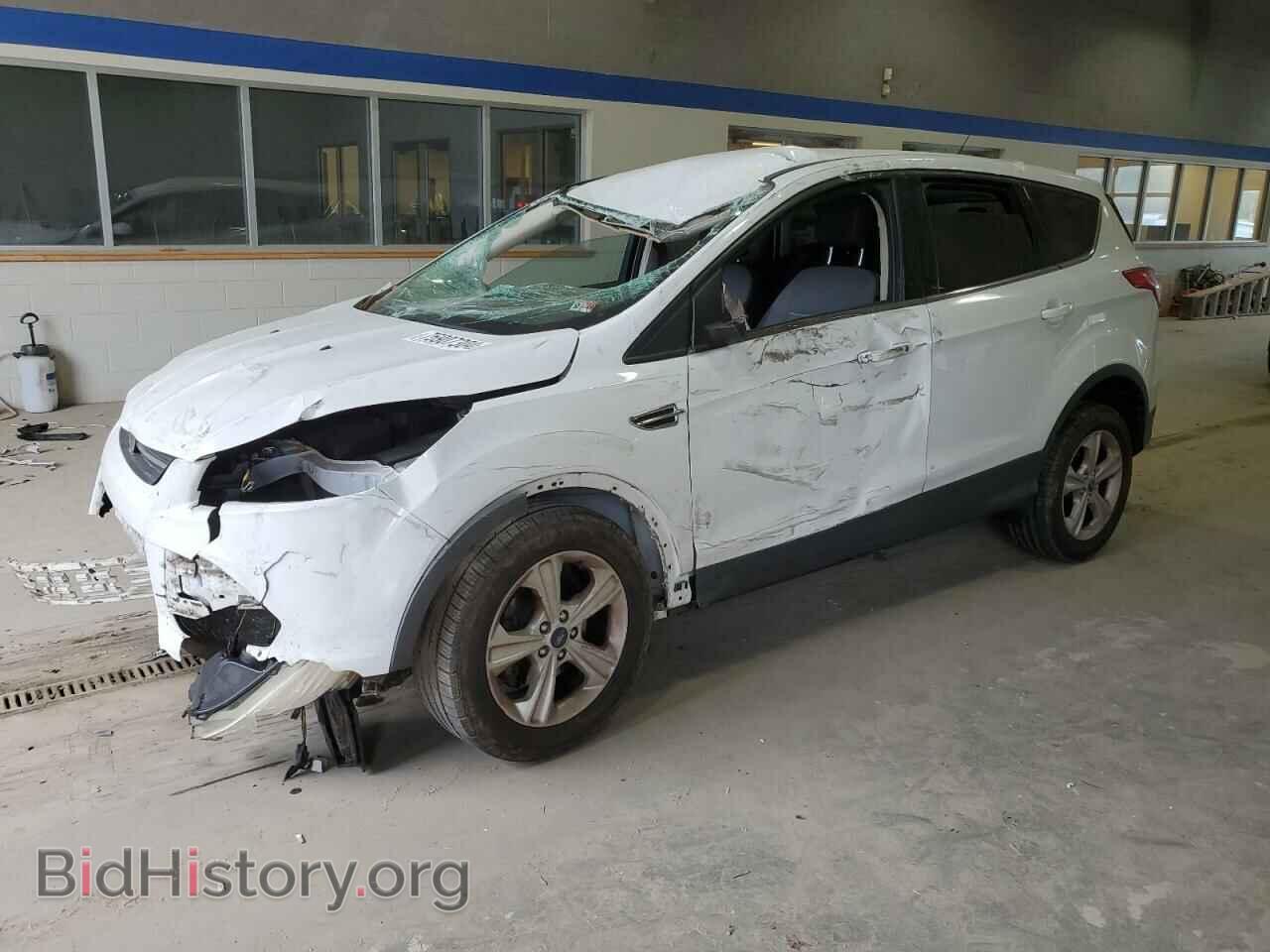 Photo 1FMCU0GX7DUD07874 - FORD ESCAPE 2013