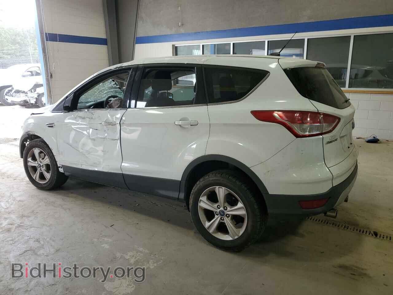 2013 FORD ESCAPE - VIN: 1FMCU0GX7DUD07874 - Фото 2