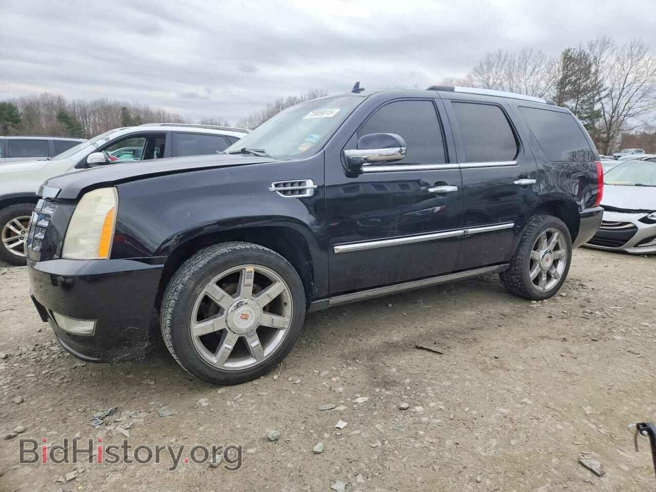Фотография 1GYUKCEF4AR135077 - CADILLAC ESCALADE 2010
