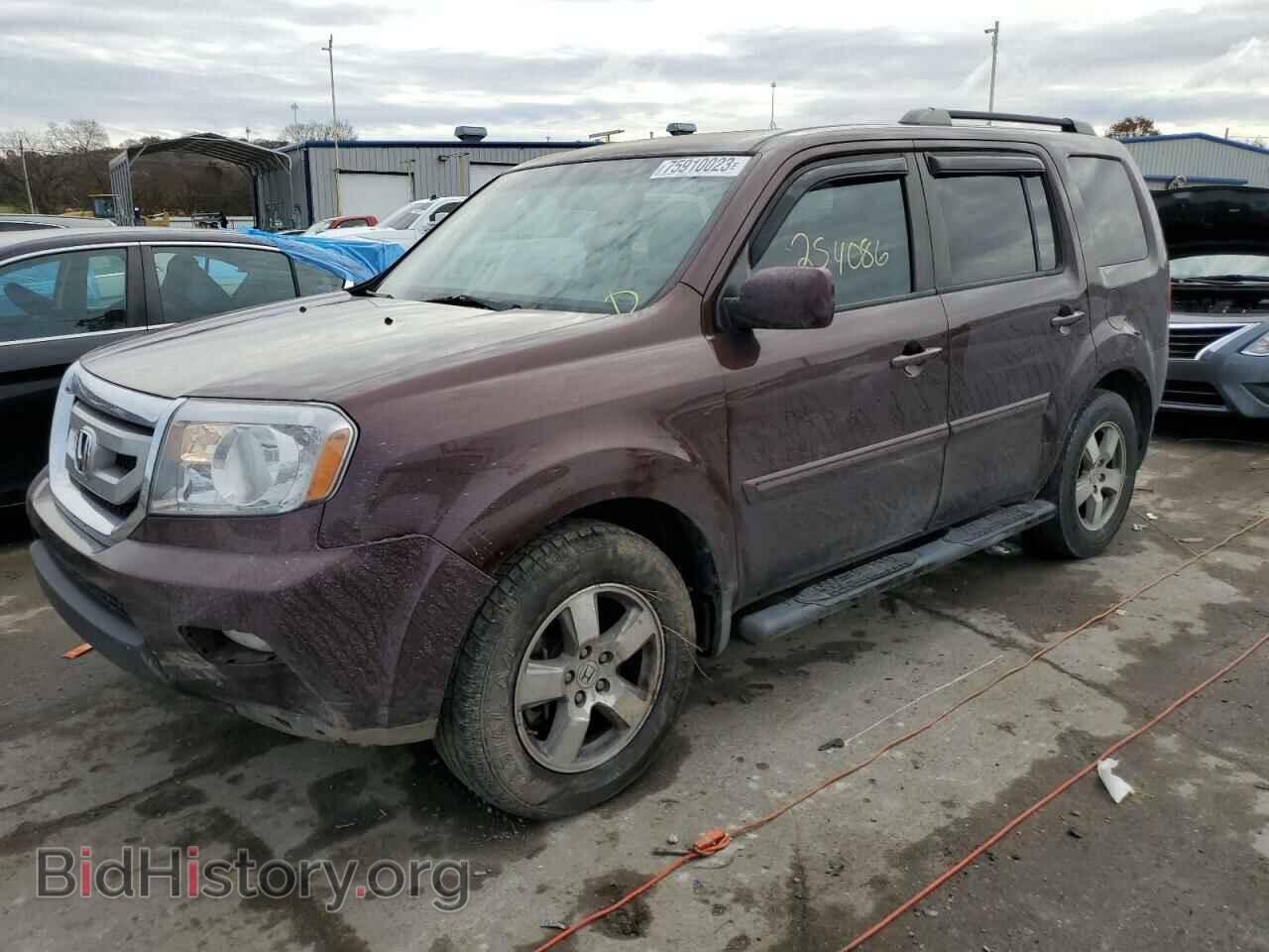 Фотография 5FNYF3H47BB005355 - HONDA PILOT 2011