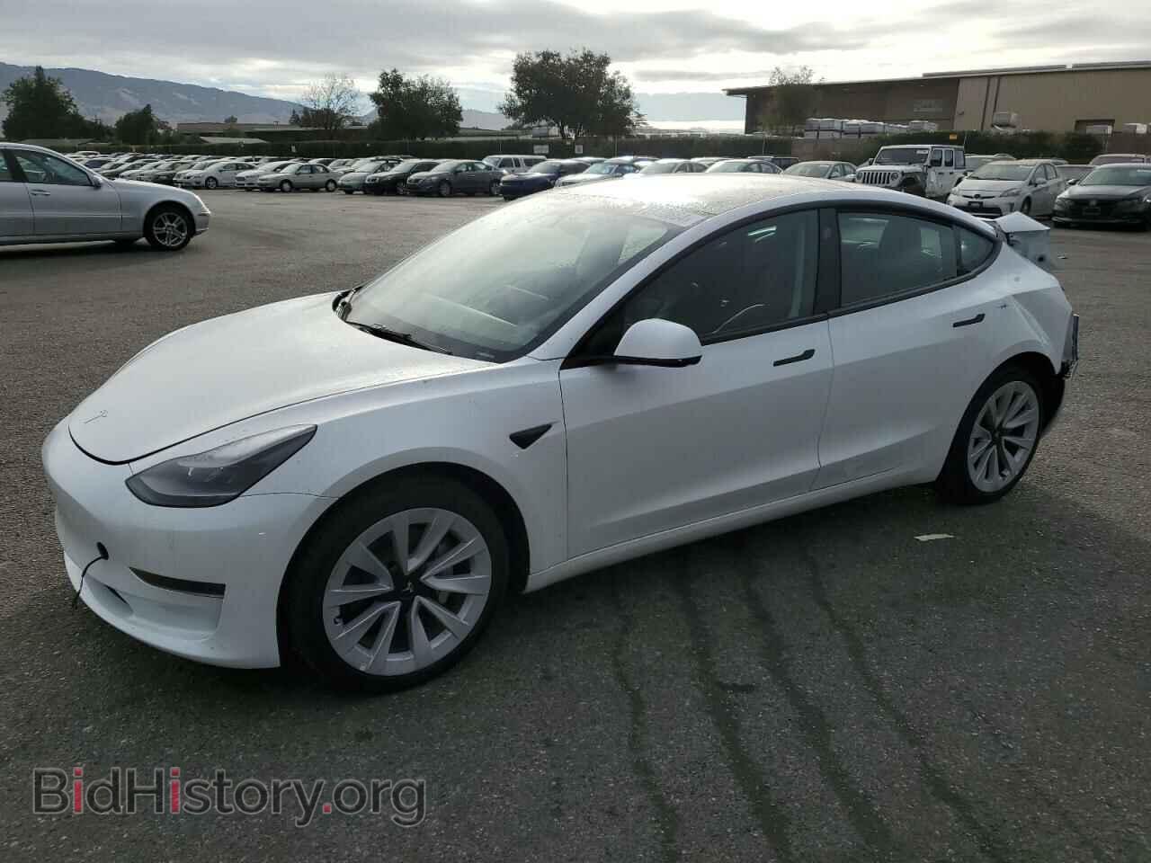 Photo 5YJ3E1EA2PF541374 - TESLA MODEL 3 2023