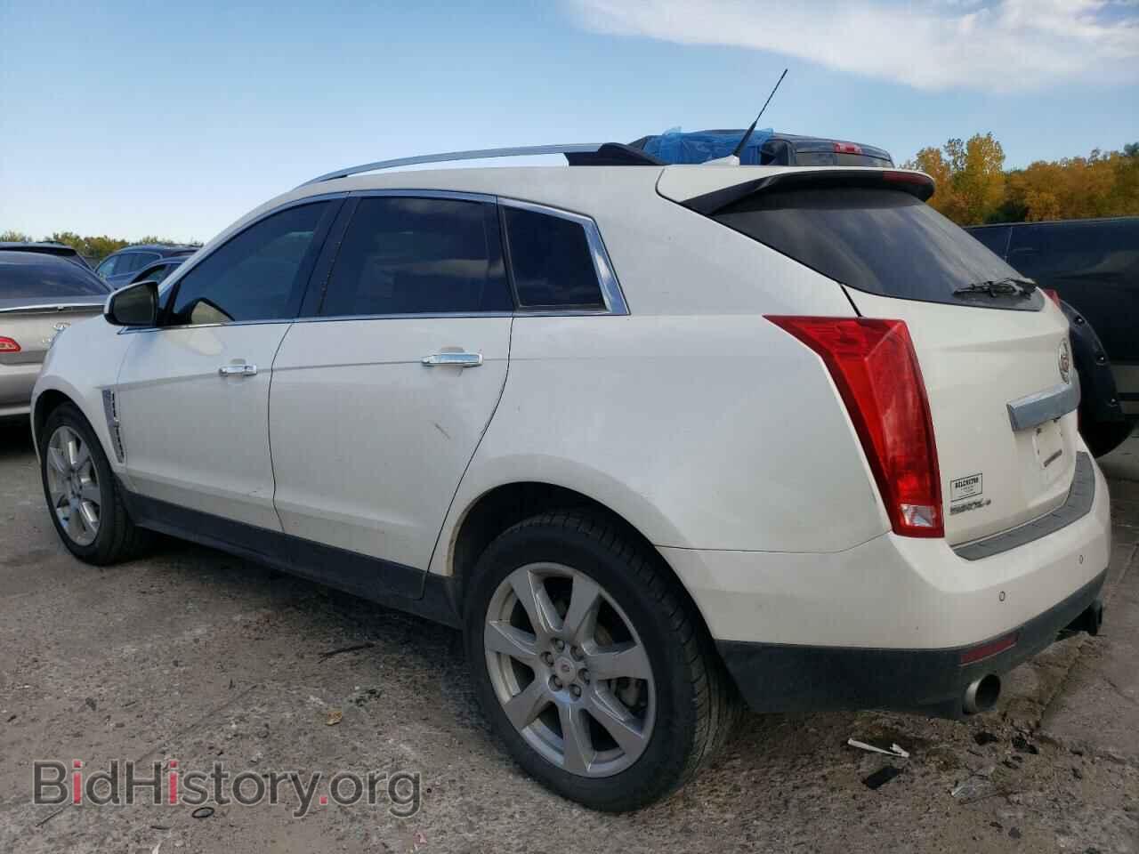 2011 CADILLAC SRX - VIN: 3GYFNFEY8BS508168 - Фото 2
