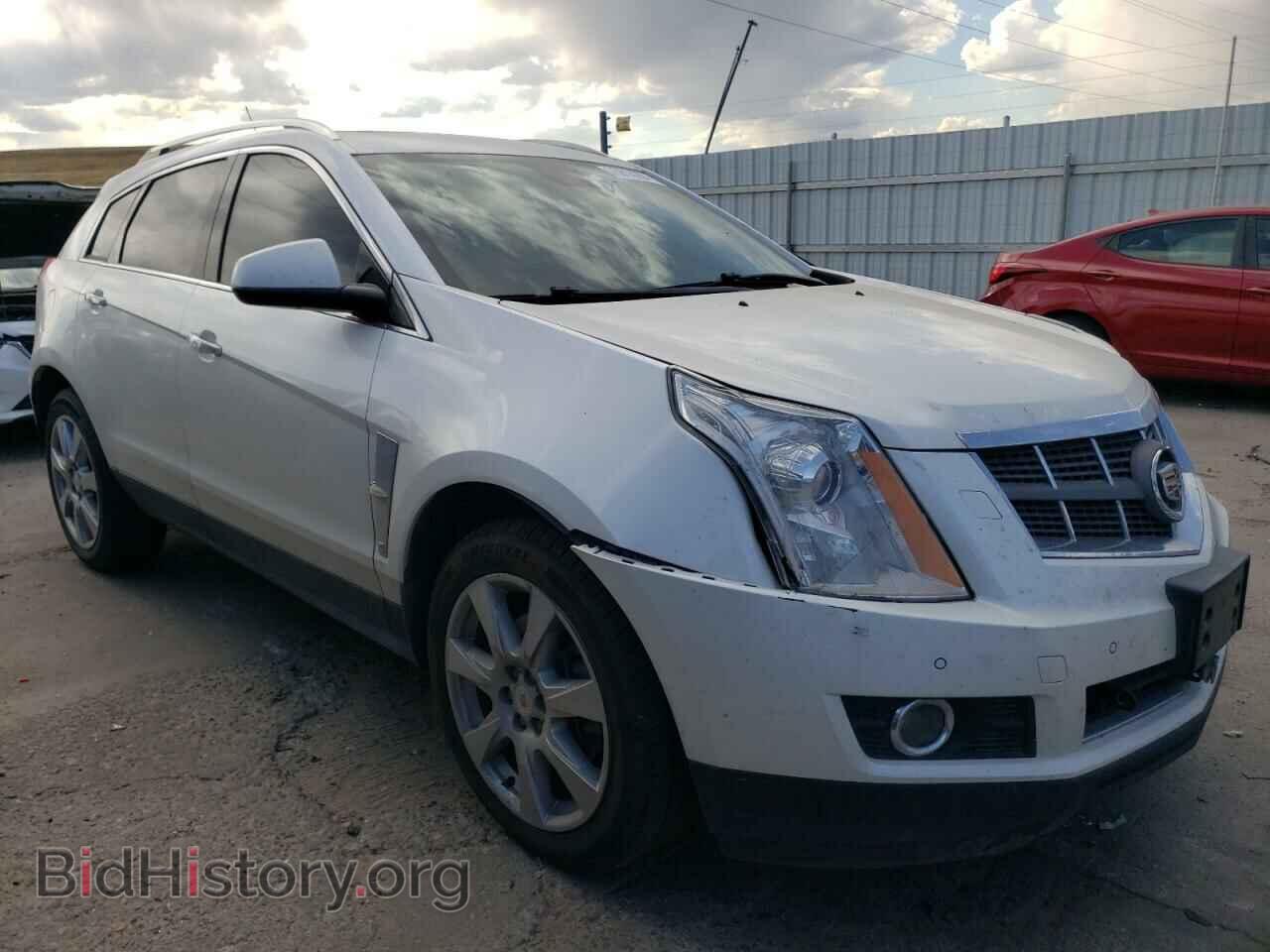 2011 CADILLAC SRX - VIN: 3GYFNFEY8BS508168 - Фото 4