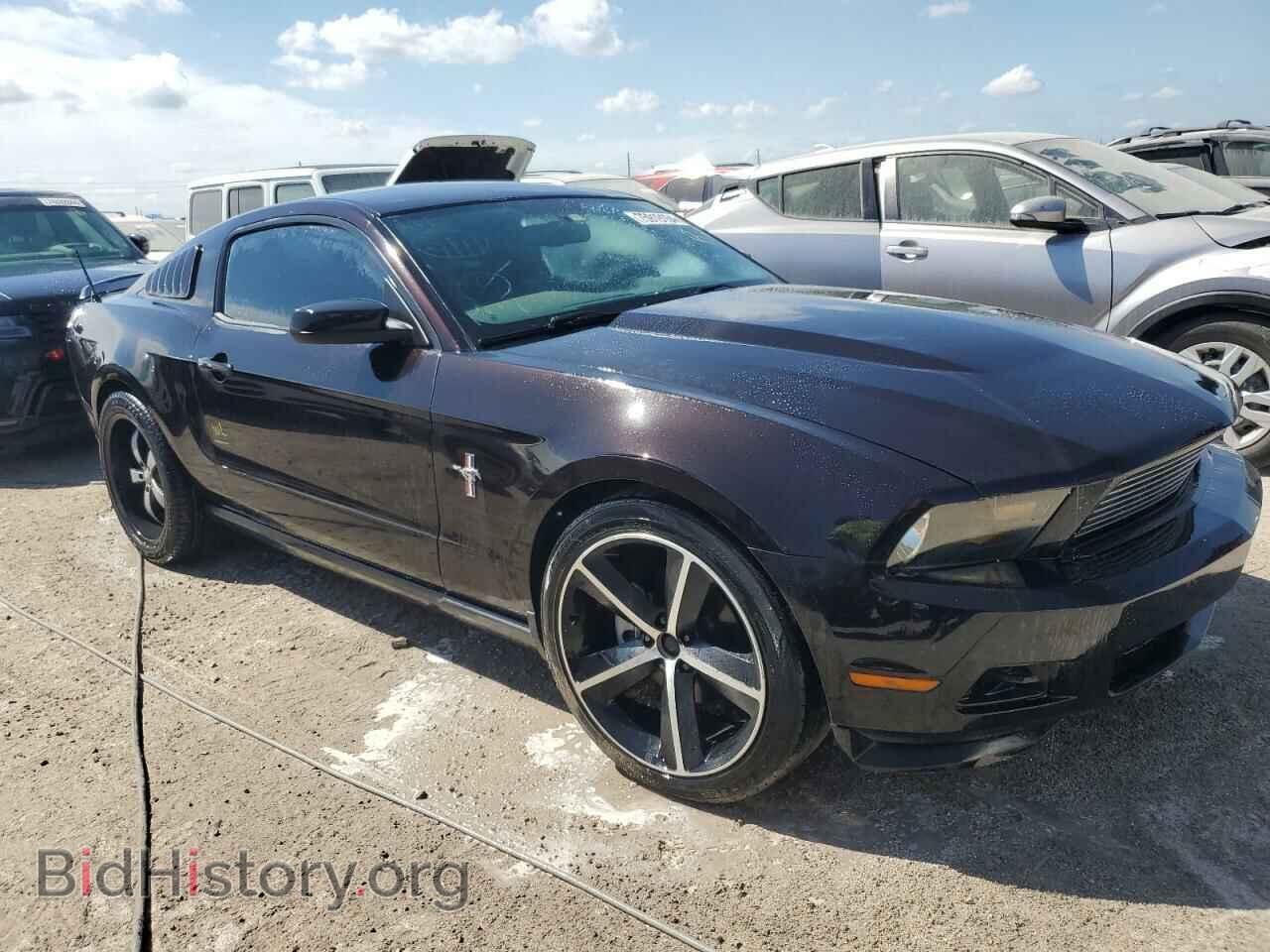 2012 FORD ALL Models - VIN: 1ZVBP8AM9C5223114 - Фото 4