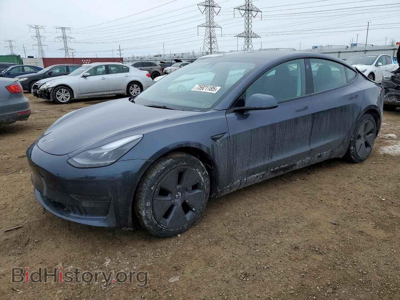 Photo 5YJ3E1EA2PF613996 - TESLA MODEL 3 2023