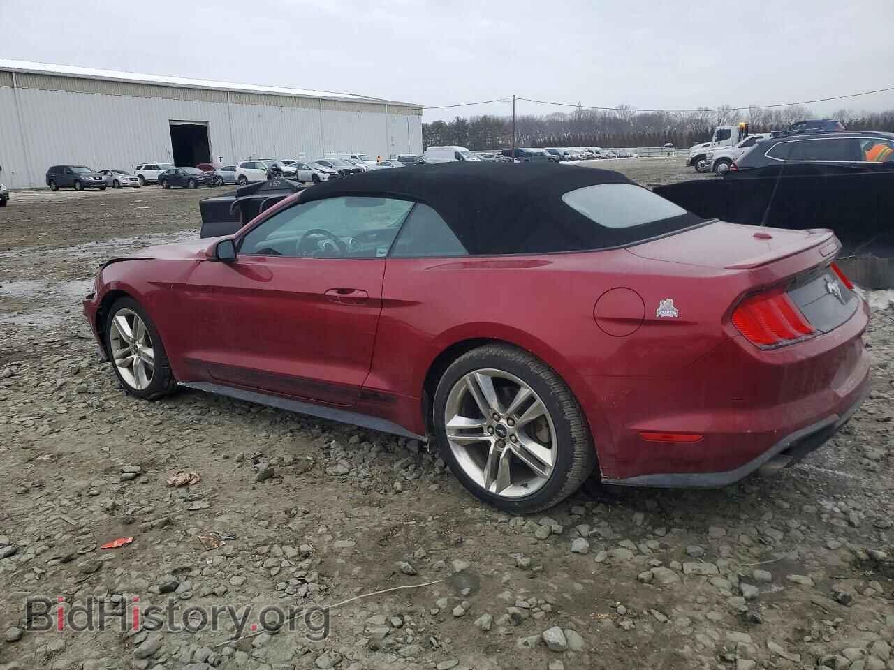 2019 FORD ALL Models - VIN: 1FATP8UH1K5193844 - Photo 2